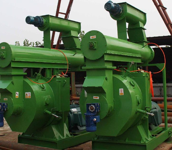 Biomass pelletizer